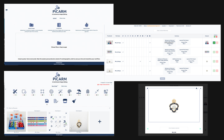 Picarm platform – upload, order detail and review screens